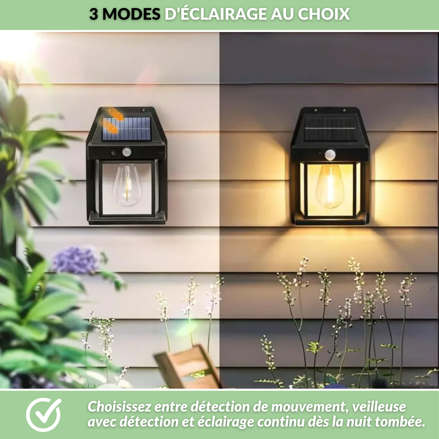 Solea - L'éclairage solaire intelligent
