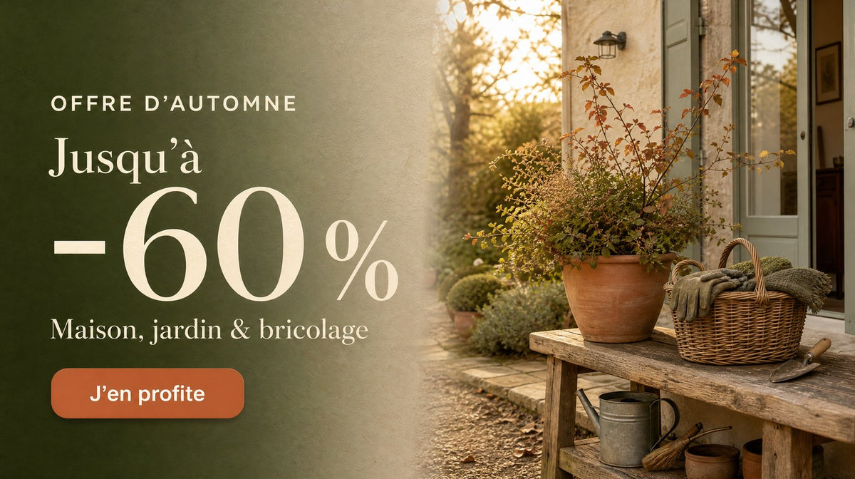 Offre promotionnelle Lumea
